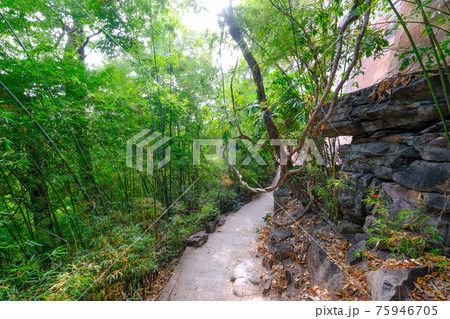 タイ東北地方パーテムのハイキングコース 75946705