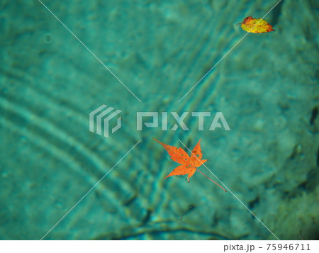 九寨溝・黄龍（中国） 75946711