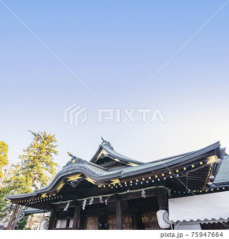 大國魂神社 神社 神社仏閣 大国魂神社 拝殿 厄除け, 大國魂神社 神社 神社仏閣 大国魂神社 拝殿 厄除け, 75947664