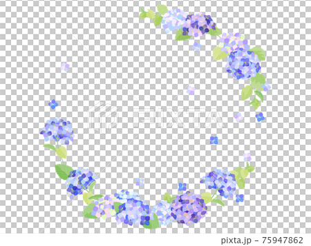 紫陽花のフレーム 紫陽花のフレーム 75947862