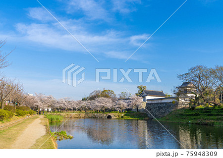 下之橋御門・福岡城跡・舞鶴公園　福岡県福岡市 75948309