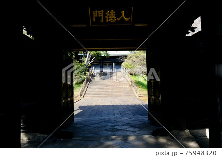 【東京】湯島聖堂(春) 【東京】湯島聖堂(春) 75948320
