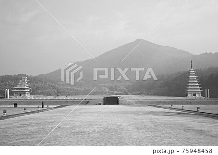 霧 湖 風景 75948458