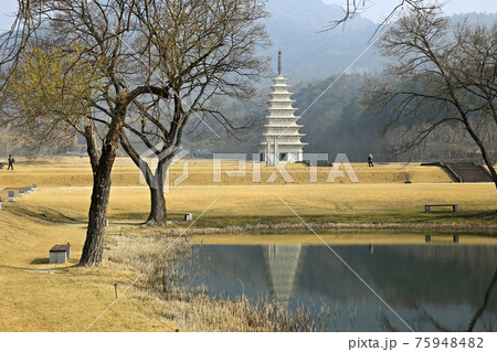 樹木 湖 風景 75948482