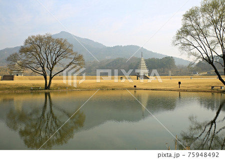 霧 湖 風景 75948492