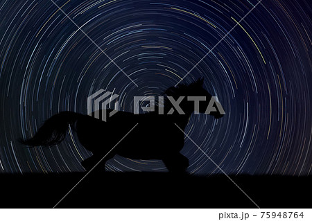 Horse at night with startrail in the background Horse at night with startrail in the background 75948764