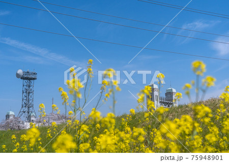 京都市伏見区の三栖閘門（みすこうもん）を撮影 75948901