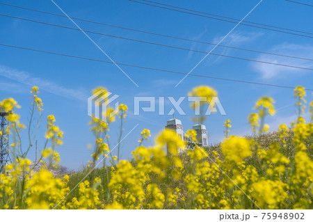 京都市伏見区の三栖閘門（みすこうもん）を撮影 75948902