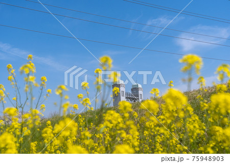 京都市伏見区の三栖閘門(みすこうもん)を撮影 京都市伏見区の三栖閘門(みすこうもん)を撮影 75948903