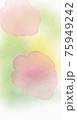 桜 75949242