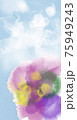 花 75949243
