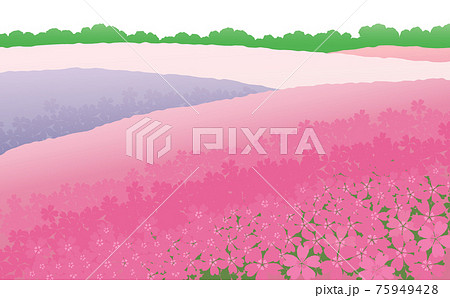 芝桜の広がる風景のイラスト素材