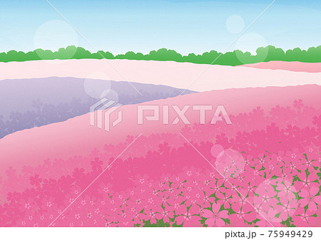芝桜の広がる風景のイラスト素材