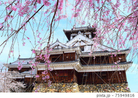 福知山城【続日本100名城】 福知山城【続日本100名城】 75949816