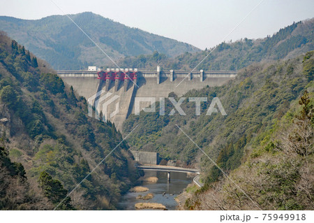 春の弥栄ダム 75949918