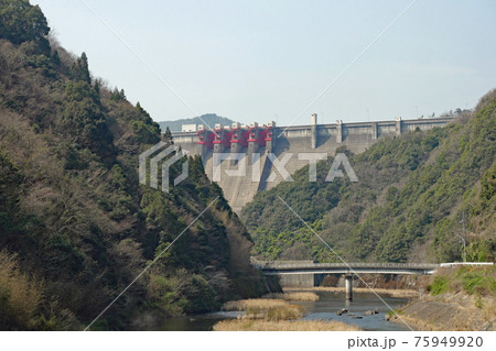 春の弥栄ダム 75949920