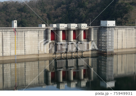 春の弥栄ダム 75949931