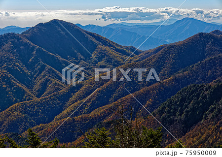 大菩薩連嶺・天狗棚山から見る紅葉の雁ヶ腹摺山 大菩薩連嶺・天狗棚山から見る紅葉の雁ヶ腹摺山 75950009