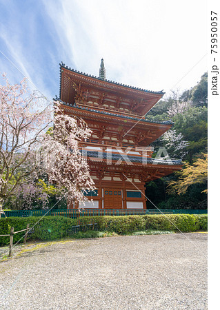 清水寺三重塔　福岡県みやま市 75950057
