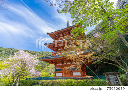 清水寺三重塔　福岡県みやま市 75950059
