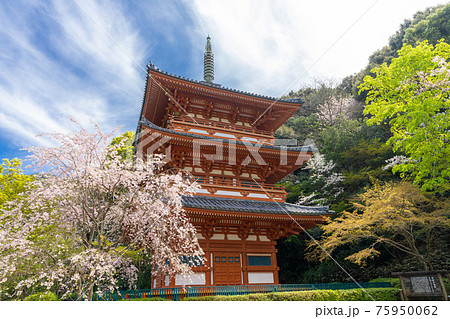 清水寺三重塔　福岡県みやま市 75950062