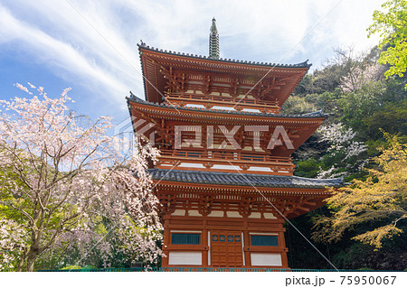 清水寺三重塔　福岡県みやま市 75950067