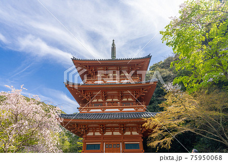 清水寺三重塔 福岡県みやま市 清水寺三重塔 福岡県みやま市 75950068