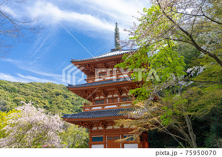 清水寺三重塔　福岡県みやま市 75950070