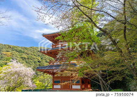 清水寺三重塔　福岡県みやま市 75950074