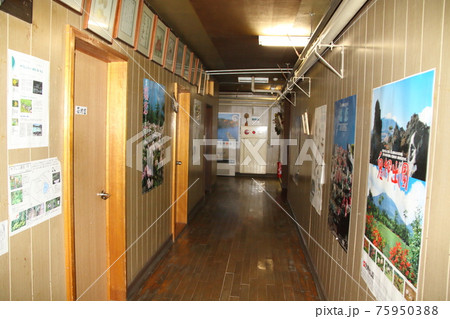万座温泉源泉掛け流し老舗旅館の廊下 75950388