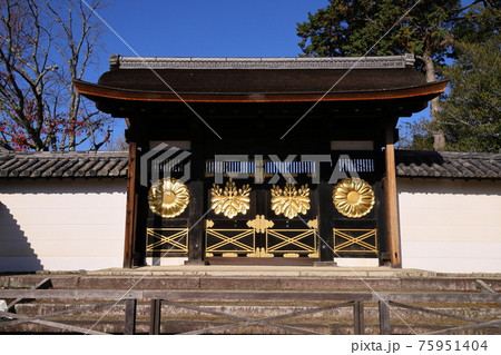 コロナ禍で静かな醍醐寺の庭園 75951404