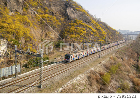 鉄道 電車 木 75951523