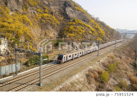 鉄道 電車 木 75951524