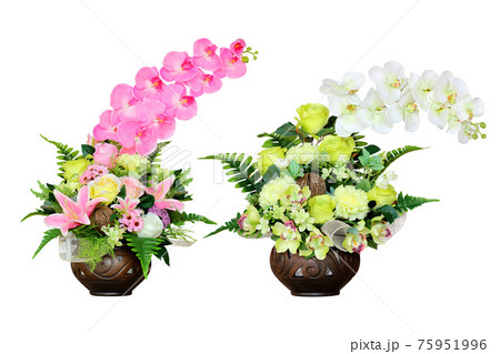 artificial orchid flower in vase on white 75951996