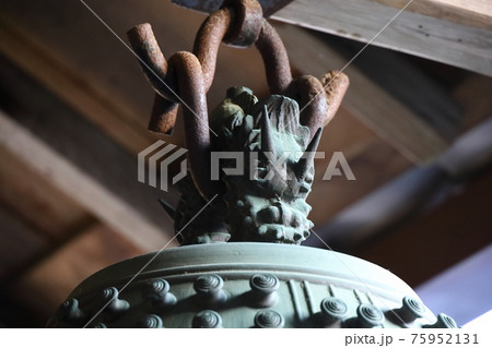 コロナ禍の静かな石庭、龍安寺 75952131