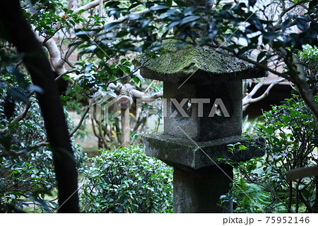 コロナ禍の静かな石庭、龍安寺 コロナ禍の静かな石庭、龍安寺 75952146