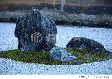 コロナ禍の静かな石庭、龍安寺 75952150