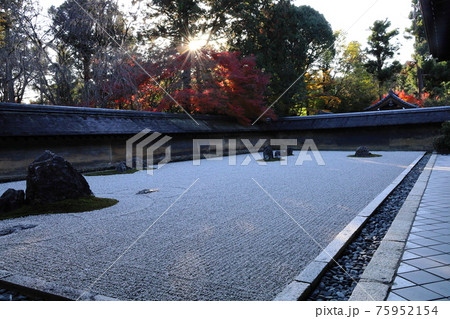 コロナ禍の静かな石庭、龍安寺 75952154
