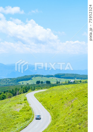 ビーナスライン（夏） 75952324