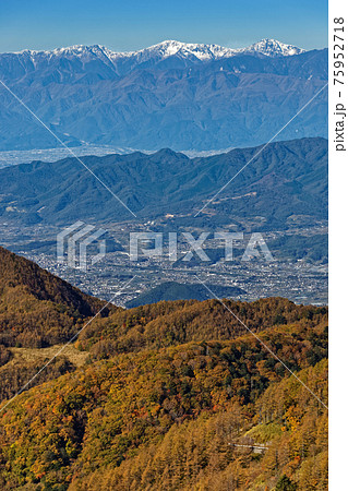 大菩薩連嶺・天狗棚山から見るカラマツの黄葉と白峰三山 75952718