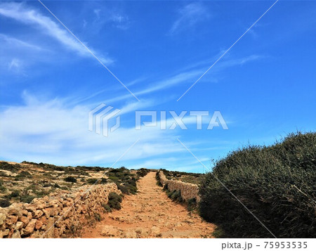 荒涼とした丘に続く道 75953535