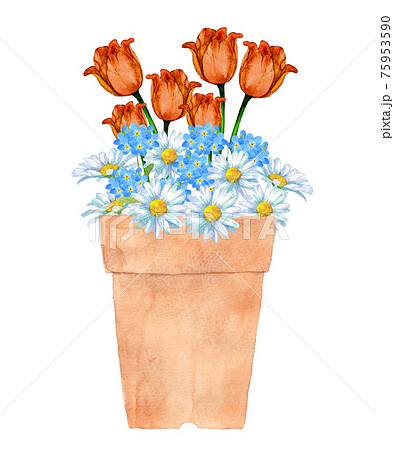 チューリップと春の花の鉢植えのイラスト素材
