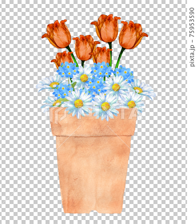 盆栽鬱金香和春天的花朵 75953590