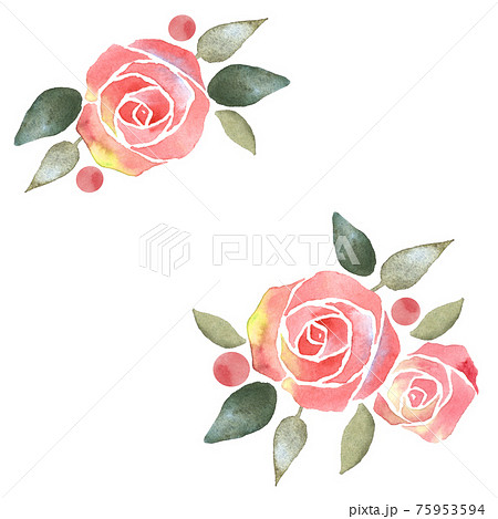 水彩の薔薇のデコレーションのイラスト素材 [75953594] - PIXTA