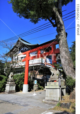 宇治神社（京都府宇治市） 75954011