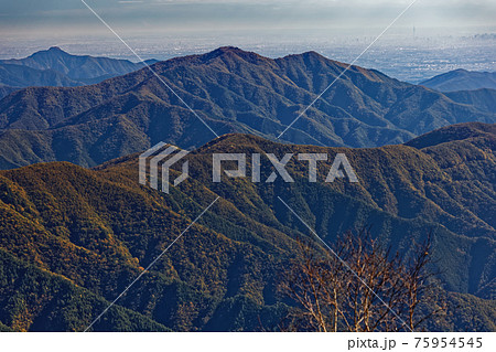 大菩薩連嶺・天狗棚山から見る三頭山・大岳山と東京スカイツリー 大菩薩連嶺・天狗棚山から見る三頭山・大岳山と東京スカイツリー 75954545