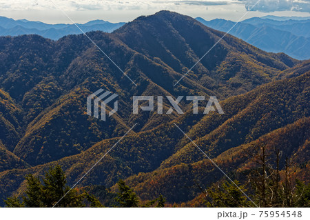 大菩薩連嶺・天狗棚山から見る紅葉の雁ヶ腹摺山 75954548