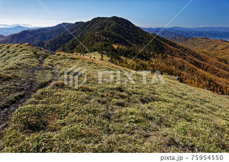 晩秋の大菩薩連嶺・天狗棚山から狼平・小金沢山の眺め 晩秋の大菩薩連嶺・天狗棚山から狼平・小金沢山の眺め 75954550