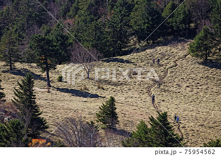 大菩薩連嶺・天狗棚山から見る狼平の草原 大菩薩連嶺・天狗棚山から見る狼平の草原 75954562