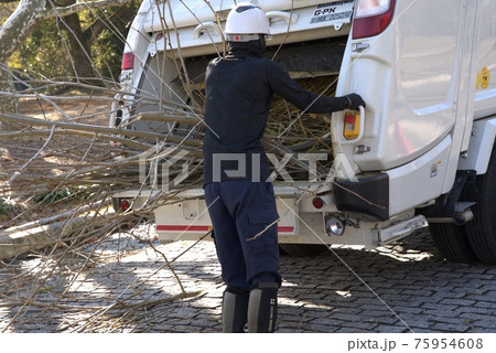 切られた枝を回収する作業風景 75954608